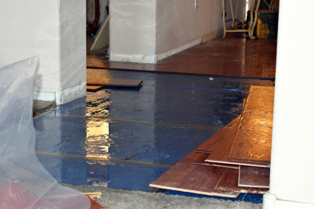 Professional Burst Pipe Cleanup technician working in Hamburg, AR